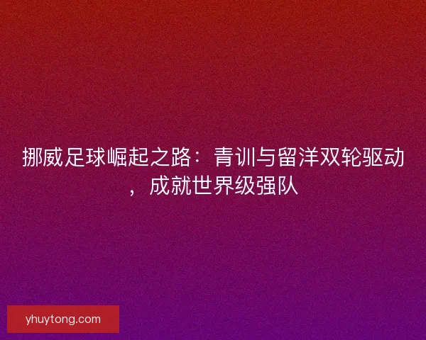 挪威足球崛起之路:青训与留洋双轮驱动,成就世界级强队 挪威足球崛起之路:青训与留洋双轮驱动,成就世界级强队