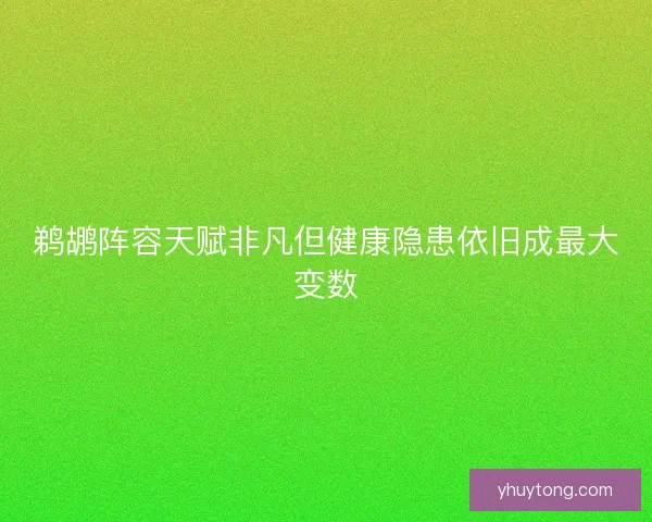 鹈鹕阵容天赋非凡但健康隐患依旧成最大变数
